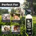 Load image into Gallery viewer, Play Date dog leave-in conditioner spray by Doodle Me This shown outdoors with a doodle playing fetch; product benefits include post-bath finishing, dry-coat refresh, detangling, and deodorizing