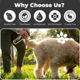 Load image into Gallery viewer, Person spraying Play Date dog conditioner on doodle outside, highlighting alcohol-free, plant-based, pH-balanced, vet-formulated, and cruelty-free features