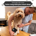 Load image into Gallery viewer, Doodle Me This Kingston and Hamilton Slicker Brush – Grooming Tool for Goldendoodles, Poodles, & Doodle Breeds | Tangle-Free & Gentle Care
