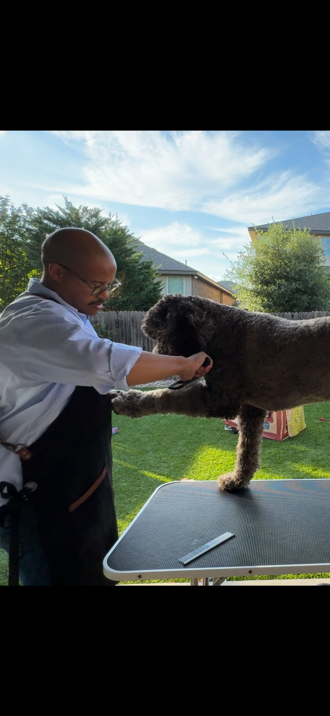 Tame the Tangles: The Art and Attitude of Goldendoodle Grooming