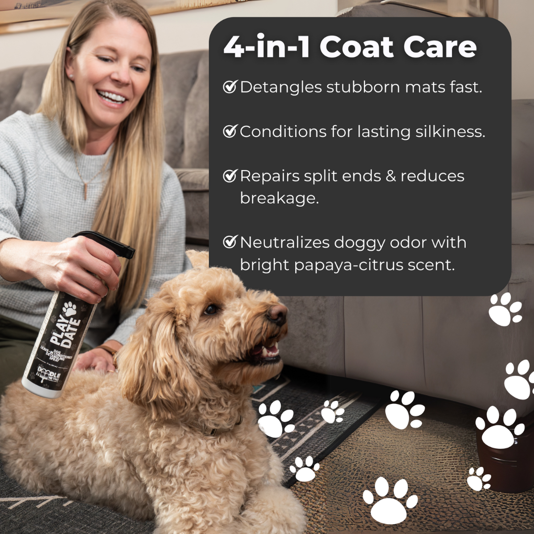 Play Date - Dog Detangling Spray - Leave-in Conditioner for Doodles and Long-Haired Breeds - Moisturizing Treatment to Prevent Matting and Breakage by Doodle Me This Kingston Hamilton - Professional Grooming Formula - 17 fl oz
