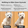 Load image into Gallery viewer, Play Date - Dog Detangling Spray - Leave-in Conditioner for Doodles and Long-Haired Breeds - Moisturizing Treatment to Prevent Matting and Breakage by Doodle Me This Kingston Hamilton - Professional Grooming Formula - 17 fl oz
