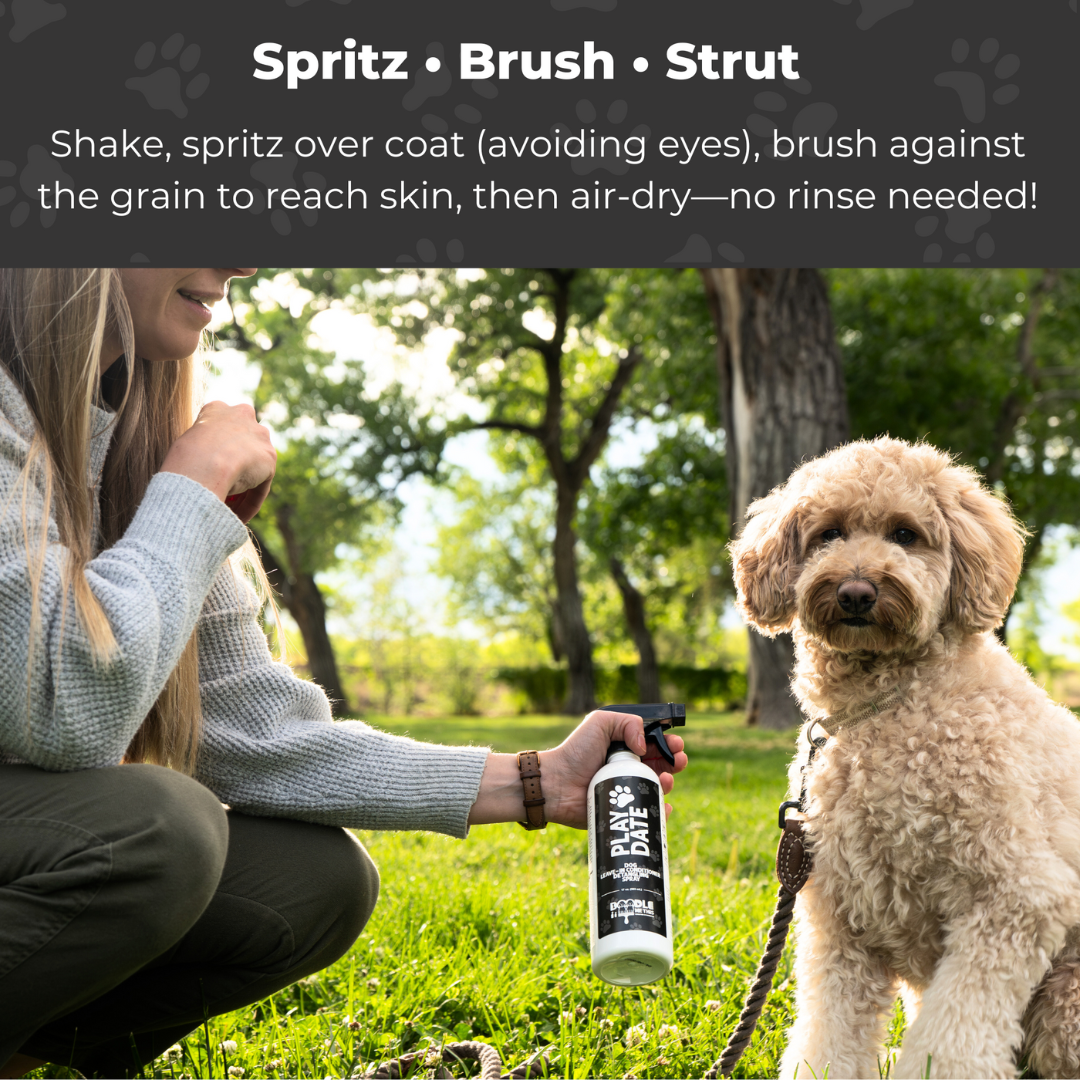 Play Date - Dog Detangling Spray - Leave-in Conditioner for Doodles and Long-Haired Breeds - Moisturizing Treatment to Prevent Matting and Breakage by Doodle Me This Kingston Hamilton - Professional Grooming Formula - 17 fl oz