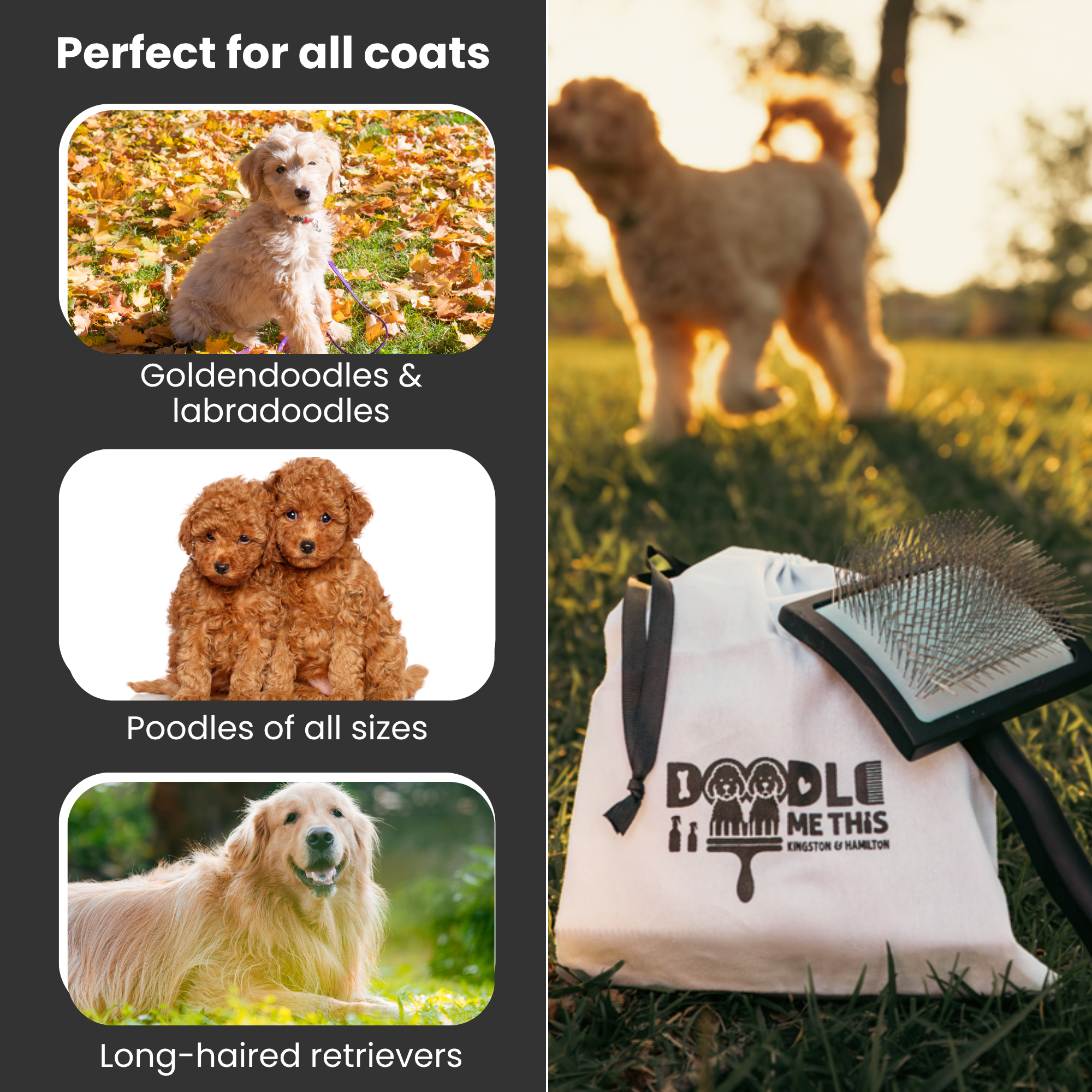 Doodle Me This Kingston and Hamilton Slicker Brush – Grooming Tool for Goldendoodles, Poodles, & Doodle Breeds | Tangle-Free & Gentle Care