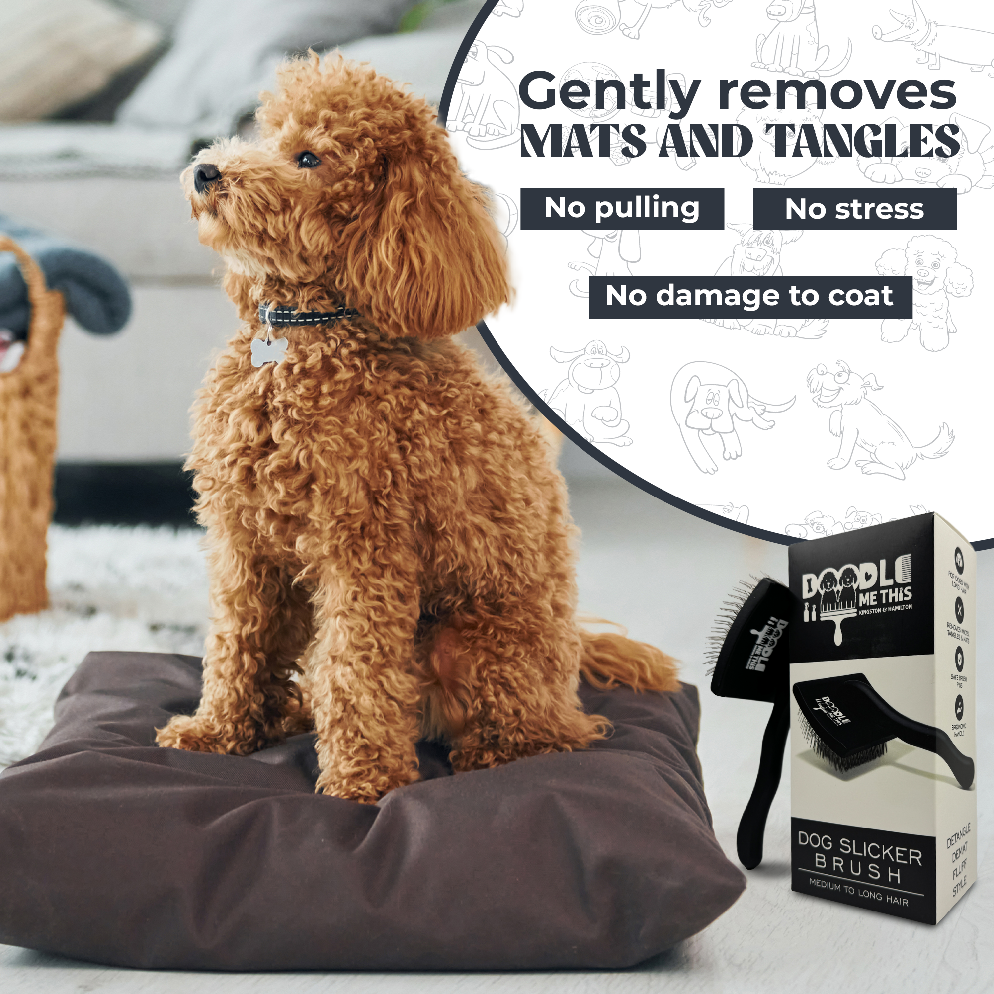 Doodle Me This Kingston and Hamilton Slicker Brush – Grooming Tool for Goldendoodles, Poodles, & Doodle Breeds | Tangle-Free & Gentle Care