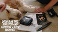 Load and play video in Gallery viewer, A relaxed Goldendoodle lies on the carpet with a grooming kit beside it, including a Doodle Me This slicker brush, grooming comb, brushing guide, treat pouch, and branded storage bag. Hands gently rest on the dog, showcasing a calm grooming moment.
